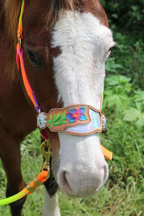 customizable horse halters.